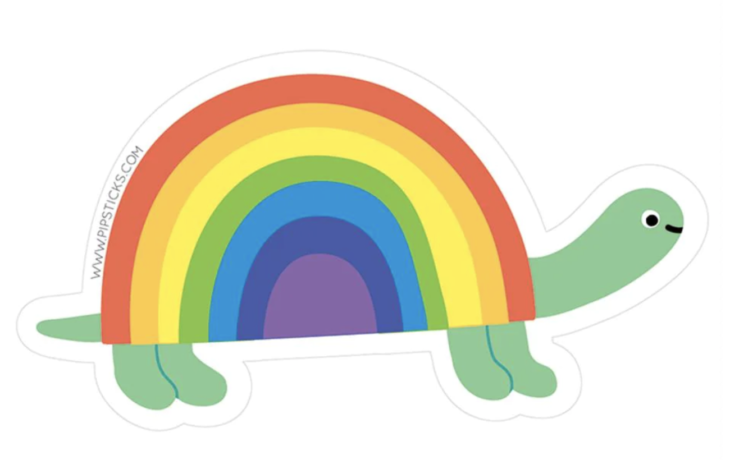 Rainbow Turtle Vinyl